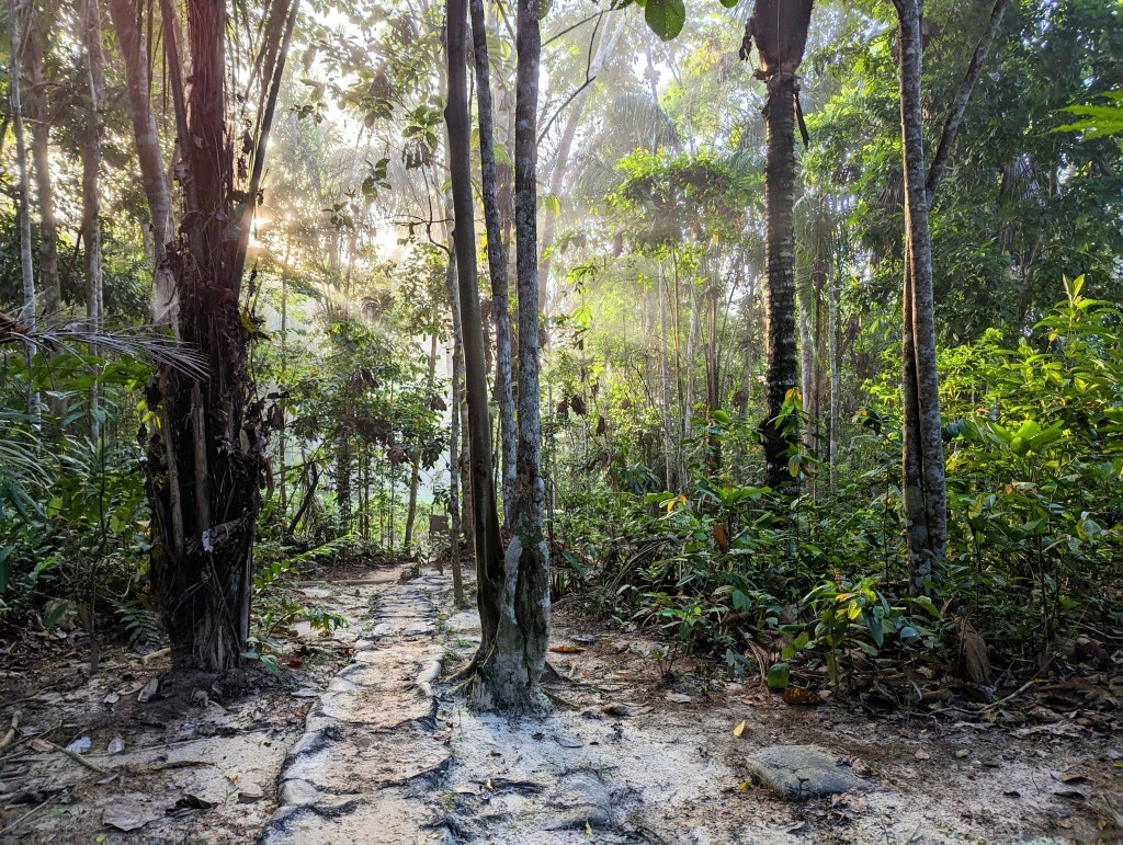 23rd November – 12th&nbsp;December